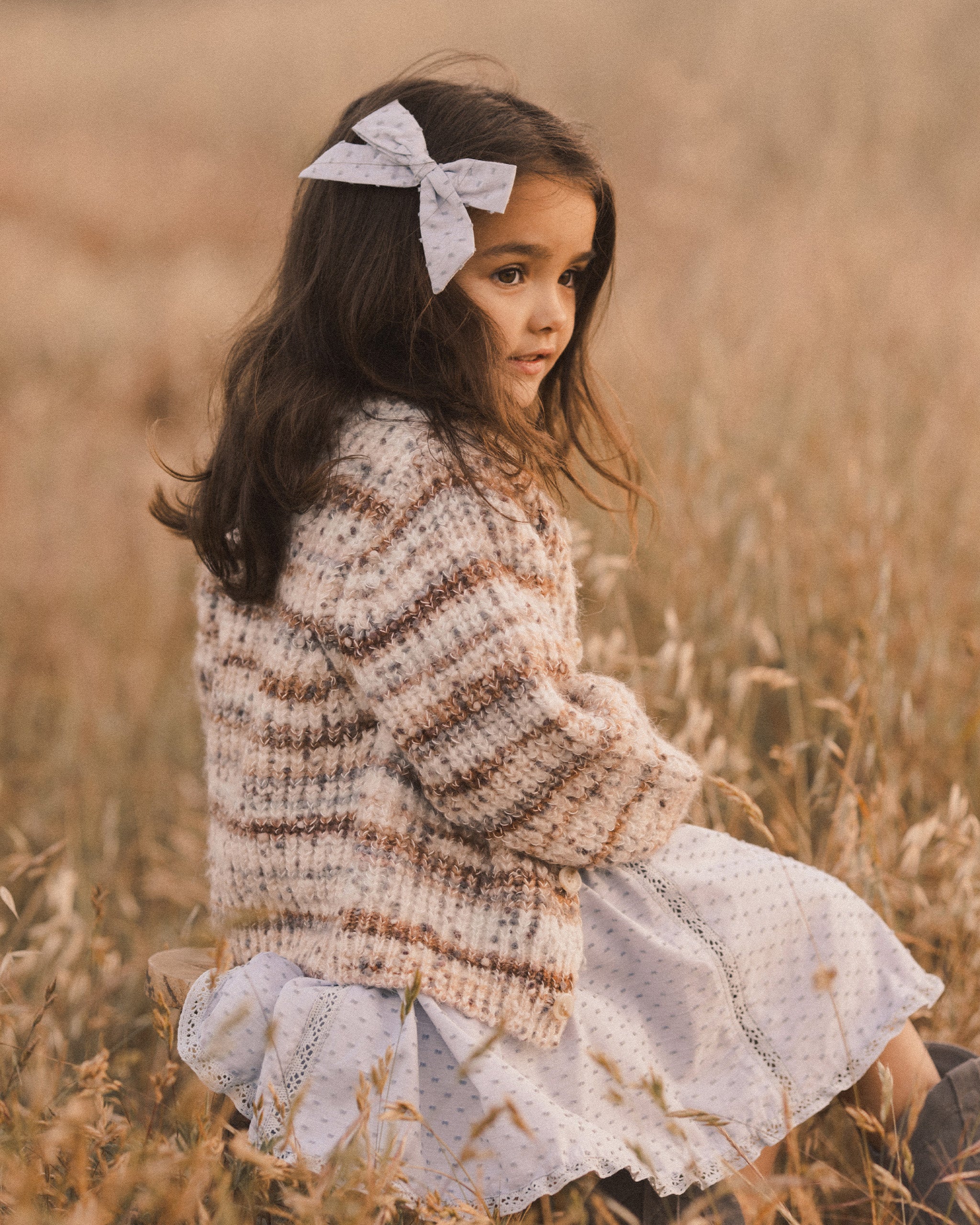 Cheyenne Cardigan || Blue Multi-Stripe